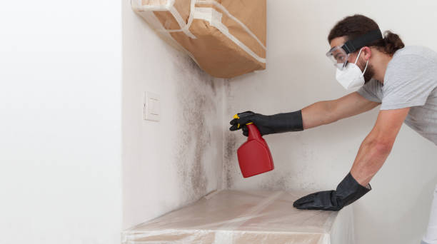 Professional Mold Testing technician working in Bedford, MA